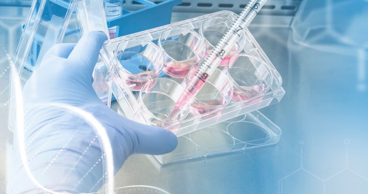 Jecizer Biosciences: A Leader in Biomedical Innovation