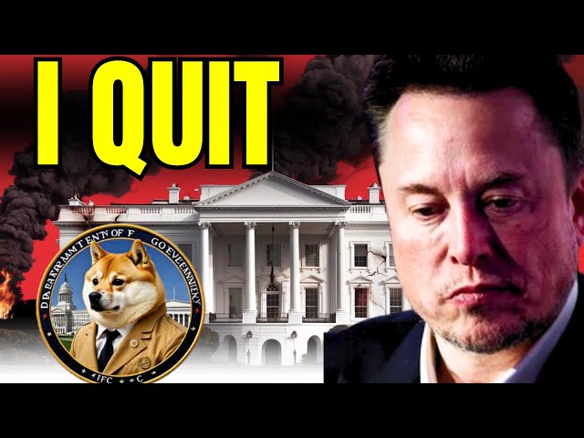 Why did Tesla and SpaceX boldly go where DOGE did not?